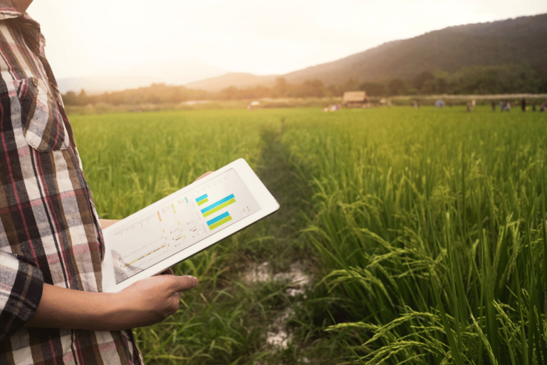 Como escolher o melhor Sistema de Gestão Agropecuária: Guia completo